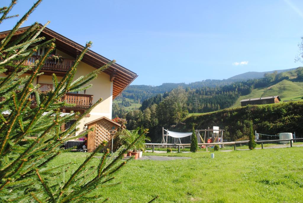 Ferienwohnung Familien-Bauernhof Neumoar St. Johann im Pongau Exterior foto