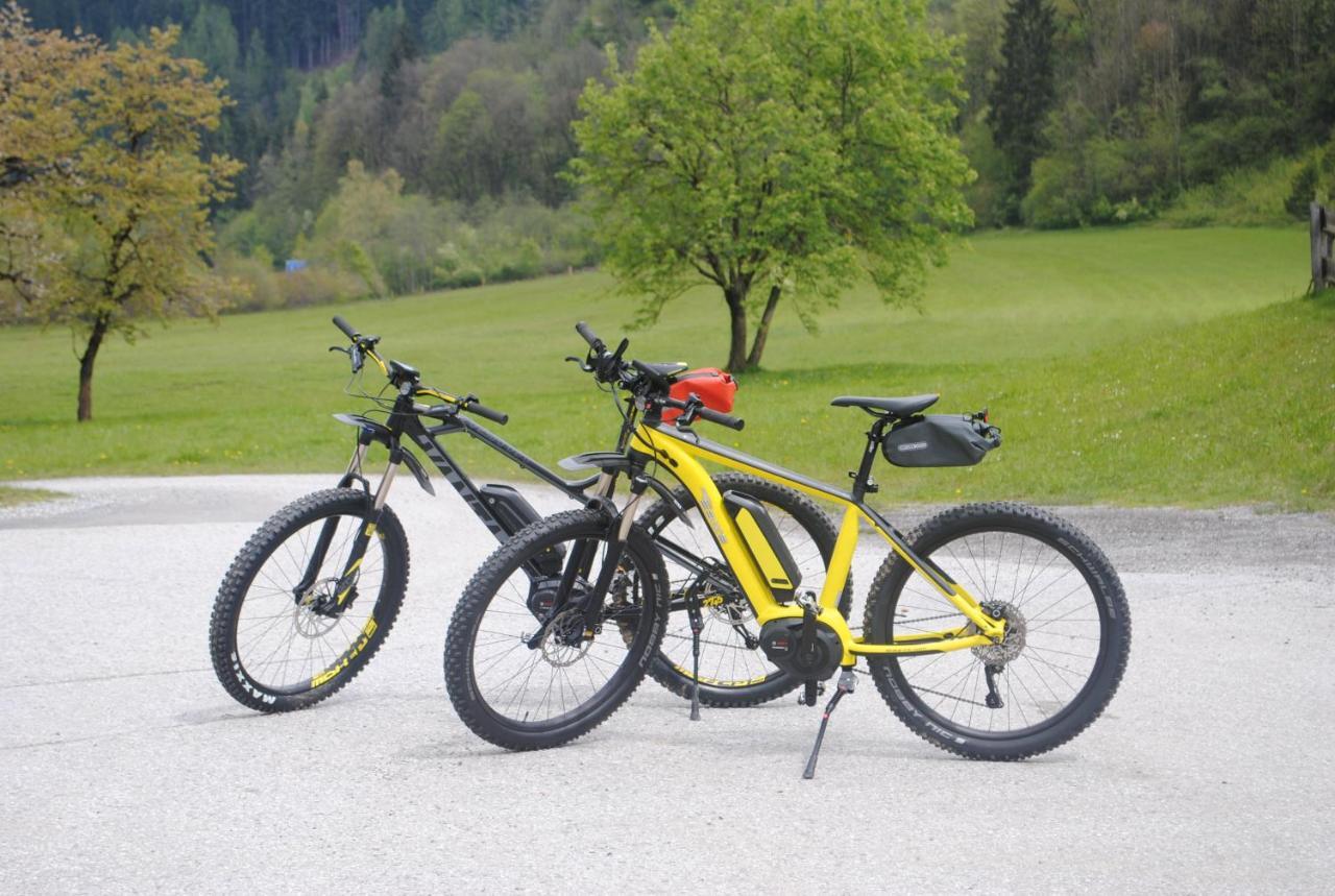 Ferienwohnung Familien-Bauernhof Neumoar St. Johann im Pongau Exterior foto